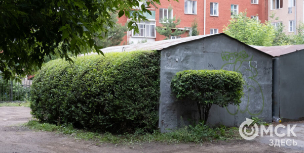 Стриги там, где всё заросло, или Почему омский гараж вызвал волну восхищения