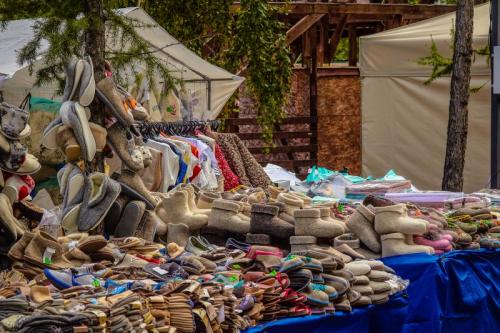 Запоминаем яркие моменты выставки «АгроОмск-2025»