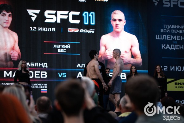 Шторм и Воин, Тор и Тигр. Омск готовится к международным поединкам