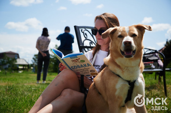Про собак и про людей. В Омске открылся первый сибирский дог-френдли лагерь Про собак и про людей. В Омске открылся первый сибирский дог-френдли лагерь