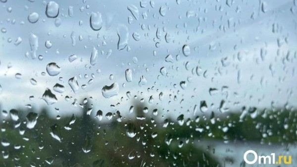 Снёс постройки: власти рассказали о ликвидации последствий урагана в Омской области