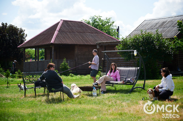 Про собак и про людей. В Омске открылся первый сибирский дог-френдли лагерь Про собак и про людей. В Омске открылся первый сибирский дог-френдли лагерь
