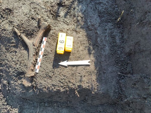 Омские археологи нашли что-то "совершенно новое" для древней истории