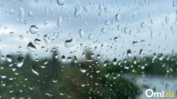 Синоптики предупредили омичей о сильном ливне: он будет идти весь день