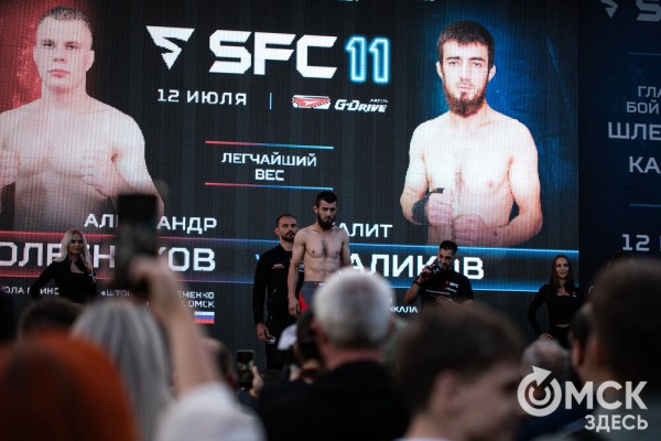 Шторм и Воин, Тор и Тигр. Омск готовится к международным поединкам