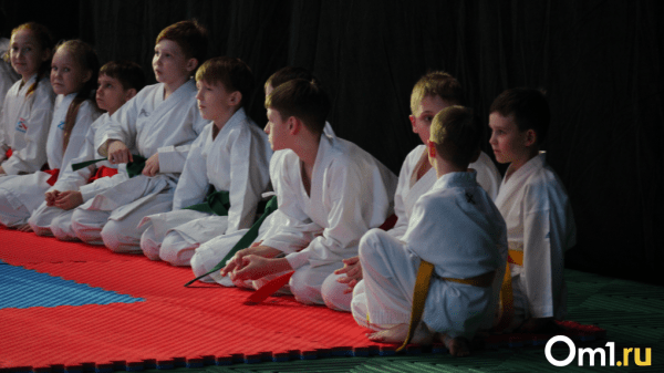В Омске хотят закрыть секцию айкидо через суд