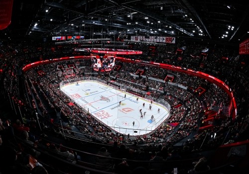 Не только игроками: омский «Авангард» пополнился PR-директором Не только игроками: омский «Авангард» пополнился PR-директором