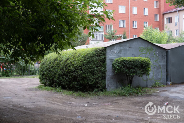 Стриги там, где всё заросло, или Почему омский гараж вызвал волну восхищения