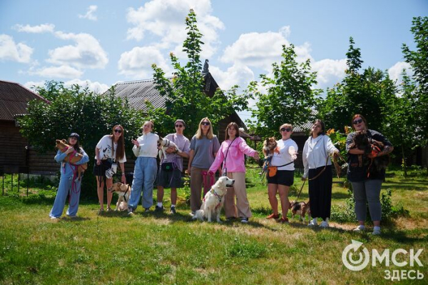Про собак и про людей. В Омске открылся первый сибирский дог-френдли лагерь Про собак и про людей. В Омске открылся первый сибирский дог-френдли лагерь