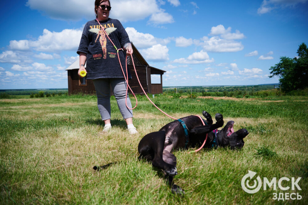 Про собак и про людей. В Омске открылся первый сибирский дог-френдли лагерь Про собак и про людей. В Омске открылся первый сибирский дог-френдли лагерь