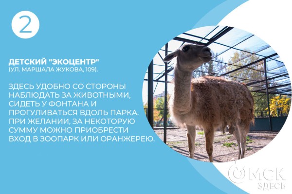 Идеальный пикник: идеи, лайфхаки и уникальные места в Омске