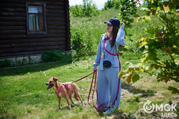 Про собак и про людей. В Омске открылся первый сибирский дог-френдли лагерь Про собак и про людей. В Омске открылся первый сибирский дог-френдли лагерь