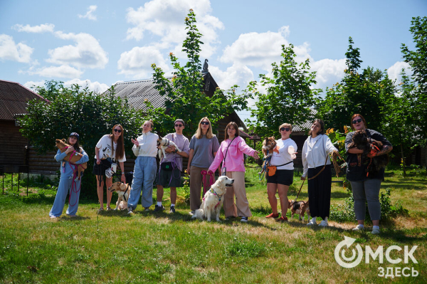 Про собак и про людей. В Омске открылся первый сибирский дог-френдли лагерь Про собак и про людей. В Омске открылся первый сибирский дог-френдли лагерь