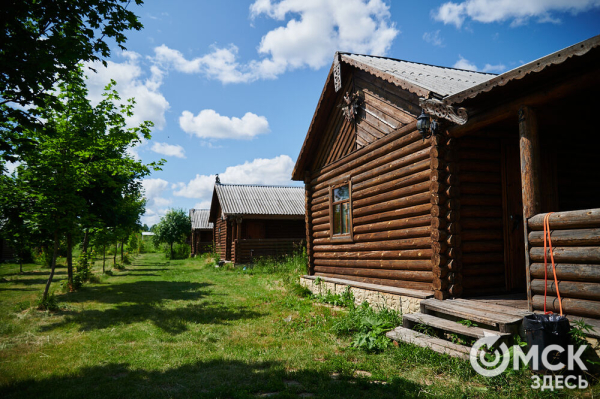 Про собак и про людей. В Омске открылся первый сибирский дог-френдли лагерь Про собак и про людей. В Омске открылся первый сибирский дог-френдли лагерь