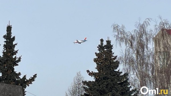 Роковой заход на посадку. Что известно о пропавшем в Приамурье Ан-24