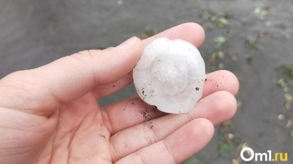 Град размером с перепелиное яйцо: непогода обрушилась на север Омской области