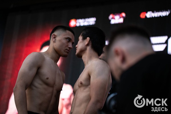 Шторм и Воин, Тор и Тигр. Омск готовится к международным поединкам