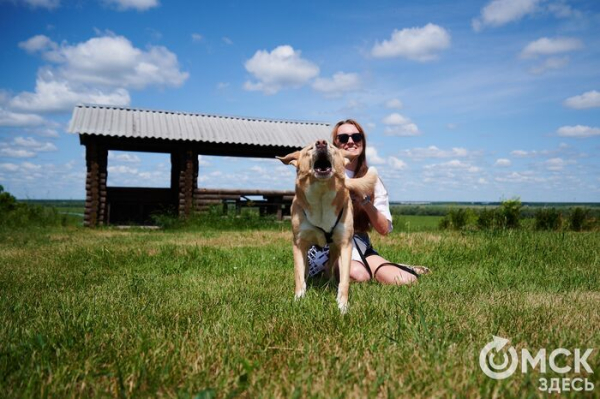 Про собак и про людей. В Омске открылся первый сибирский дог-френдли лагерь Про собак и про людей. В Омске открылся первый сибирский дог-френдли лагерь