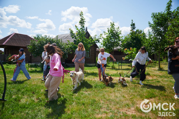 Про собак и про людей. В Омске открылся первый сибирский дог-френдли лагерь Про собак и про людей. В Омске открылся первый сибирский дог-френдли лагерь