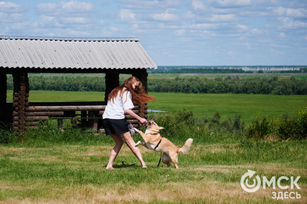 Про собак и про людей. В Омске открылся первый сибирский дог-френдли лагерь Про собак и про людей. В Омске открылся первый сибирский дог-френдли лагерь