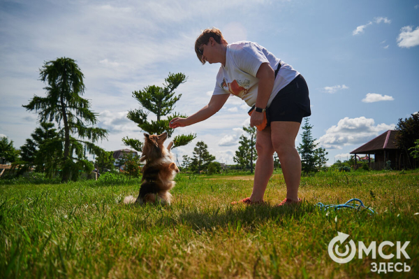 Про собак и про людей. В Омске открылся первый сибирский дог-френдли лагерь Про собак и про людей. В Омске открылся первый сибирский дог-френдли лагерь