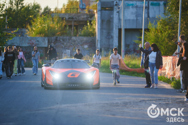 Оперились! "Авангард" презентовался к новому сезону Оперились! "Авангард" презентовался к новому сезону