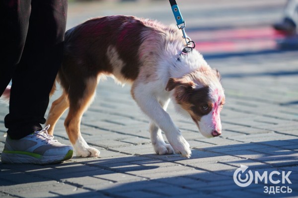 Осторожно, очень ярко! Омичи "раскрасили" последний месяц лета