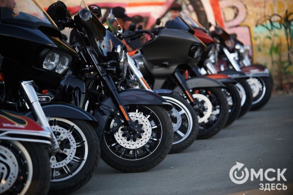 Оперились! "Авангард" презентовался к новому сезону Оперились! "Авангард" презентовался к новому сезону