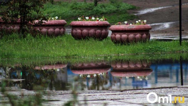Днём +27, ночью +5: синоптики рассказали, какой будет погода в Омске на выходных