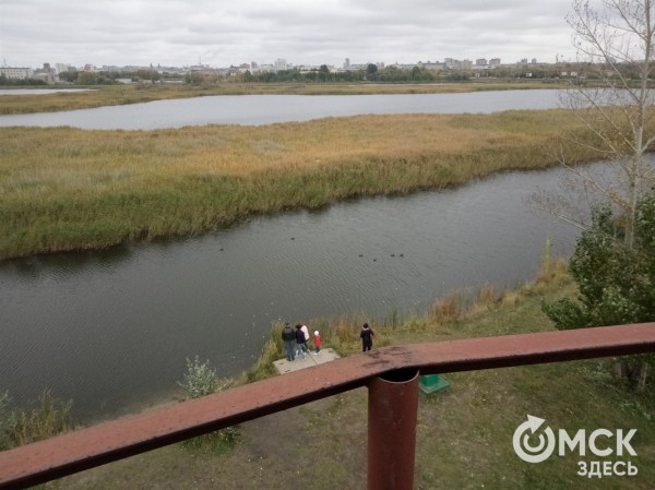 В "Птичьей гавани" конструируют новую смотровую площадку В "Птичьей гавани" конструируют новую смотровую площадку