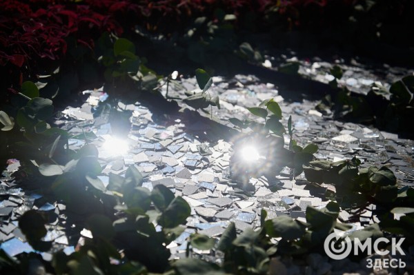 Маленькие цветы о великих историях. Омская "Флора" открылась в 73-й раз