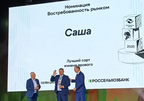 Омичи удостоились премии за сорт ячменя Саша Омичи удостоились премии за сорт ячменя Саша