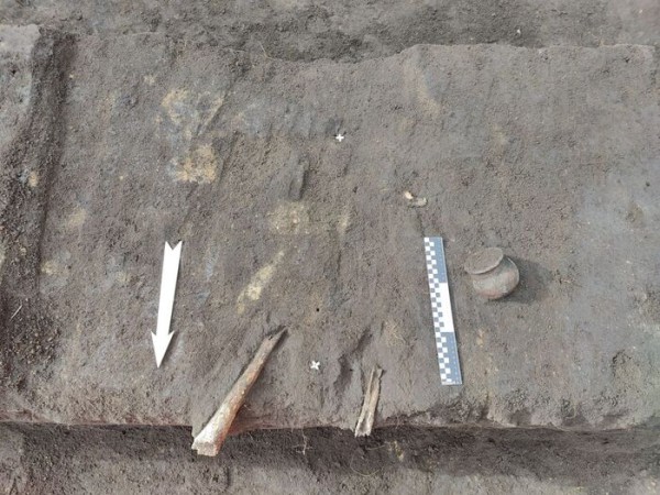 Две могилы на троих. Омские археологи "докопались" до древнего захоронения