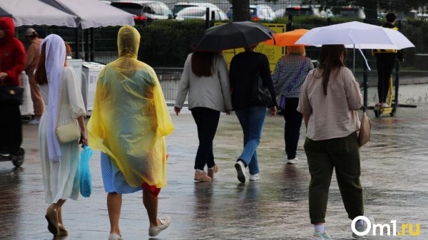 Стало известно, когда закончатся дожди в Омской области