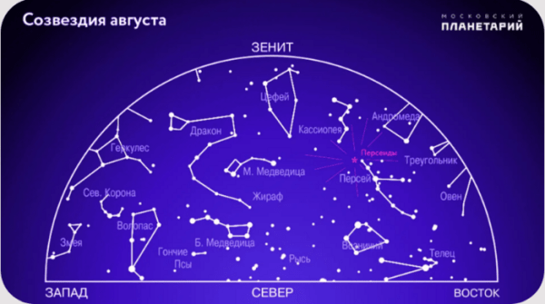 100 падающих звезд в час: как разглядеть на небе Персеиды