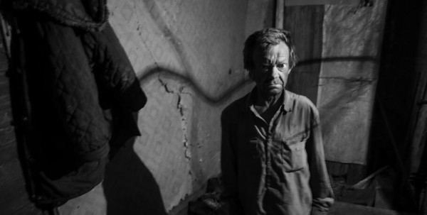 "Сашка" из хлева: омская "история выживания" оказалась на выставке в Париже