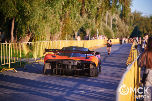 Оперились! "Авангард" презентовался к новому сезону Оперились! "Авангард" презентовался к новому сезону