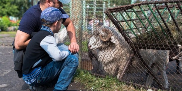 В Большереченском зоопарке поселятся новички из Аргентины и Мадагаскара