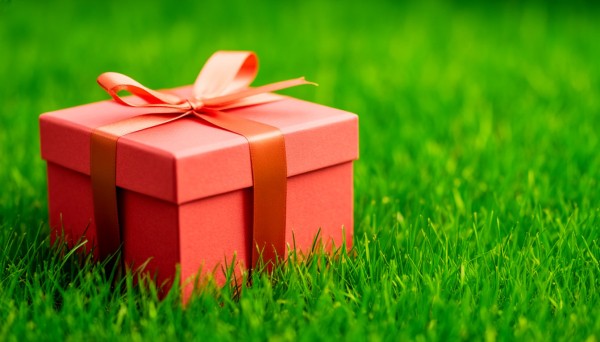 Иллюстратор из Омска создала детскую книгу о подарках