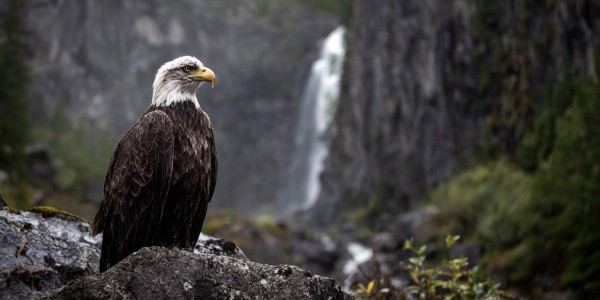 Омич Иван Давыдов завершил свой беговой проект от Кызыла до Карагемского прорыва