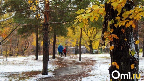 Мокрый снег и заморозки: в Гидрометцентре дали неожиданный прогноз для Омска