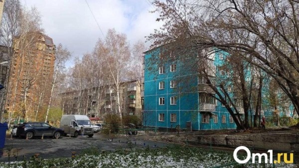 Опубликована дата, когда в Омской области выпадет первый снег