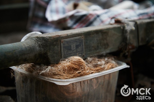 От заброшки к музею. Как омские краеведы возвращают к жизни лечебницу XIX века