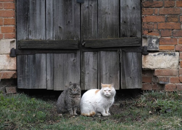 Слепые пятна и guilty pleasure. Архитектурная фотография как способ раскрывать невидимое, а не страдать по ушедшему