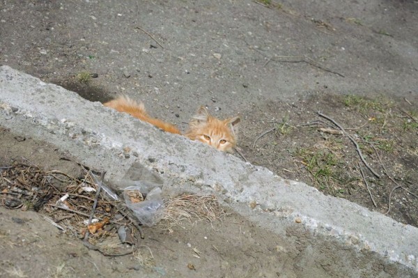 Слепые пятна и guilty pleasure. Архитектурная фотография как способ раскрывать невидимое, а не страдать по ушедшему