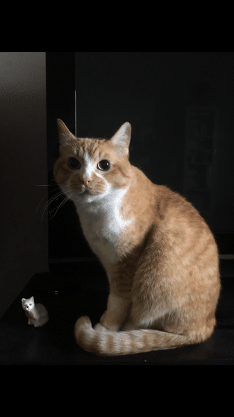 Слепые пятна и guilty pleasure. Архитектурная фотография как способ раскрывать невидимое, а не страдать по ушедшему