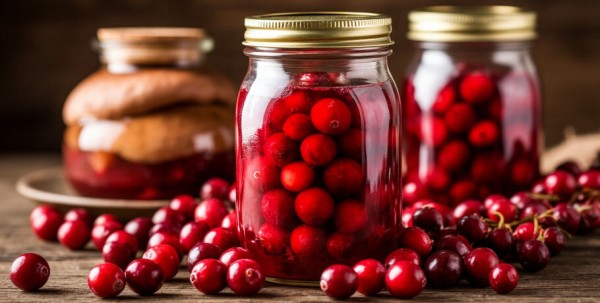 В Омске создают уникальный напиток на основе комбучи и сибирских ягод