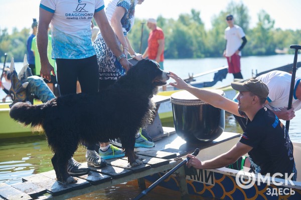В Омске прошли соревнования по гребле на лодках "Дракон", байдарках и каноэ