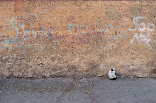 Слепые пятна и guilty pleasure. Архитектурная фотография как способ раскрывать невидимое, а не страдать по ушедшему