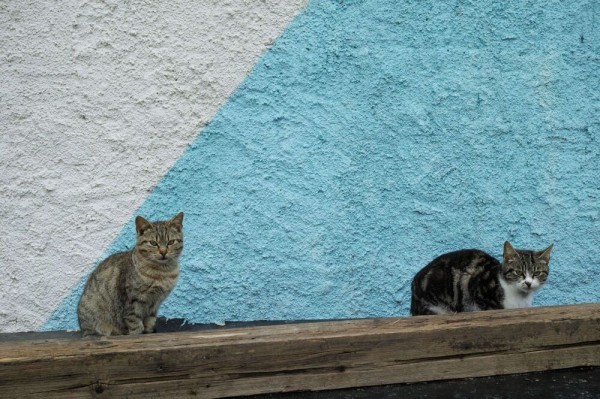 Слепые пятна и guilty pleasure. Архитектурная фотография как способ раскрывать невидимое, а не страдать по ушедшему